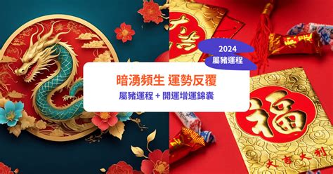 豬的運勢|【屬豬2024生肖運勢】暗湧頻生，運勢反覆｜屬豬運 